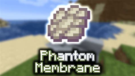 Phantom membrane - Dec 20, 2021 · advertisement. Phantoms are a flying Hostile Mob that will attack players every ten to twenty seconds. When a phantom goes in for an attack, you can hear it screeching as it flies towards you ... 
